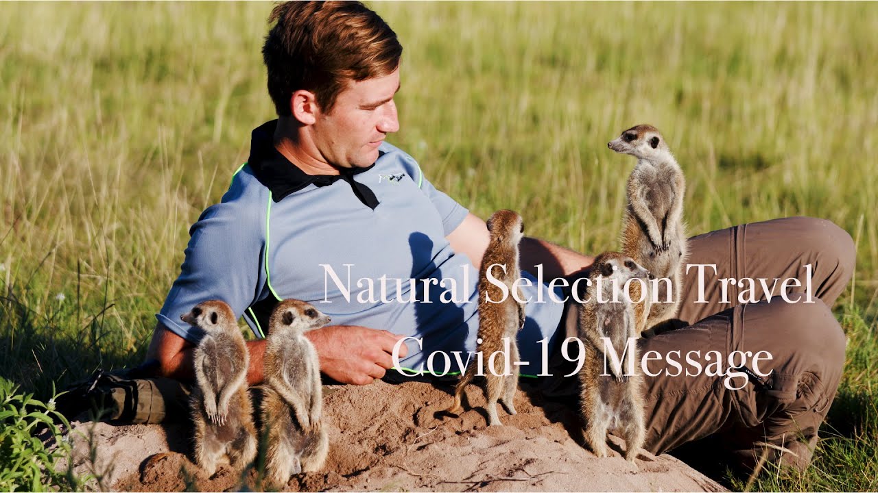 Natural Selection Travel -  Covid-19 message
