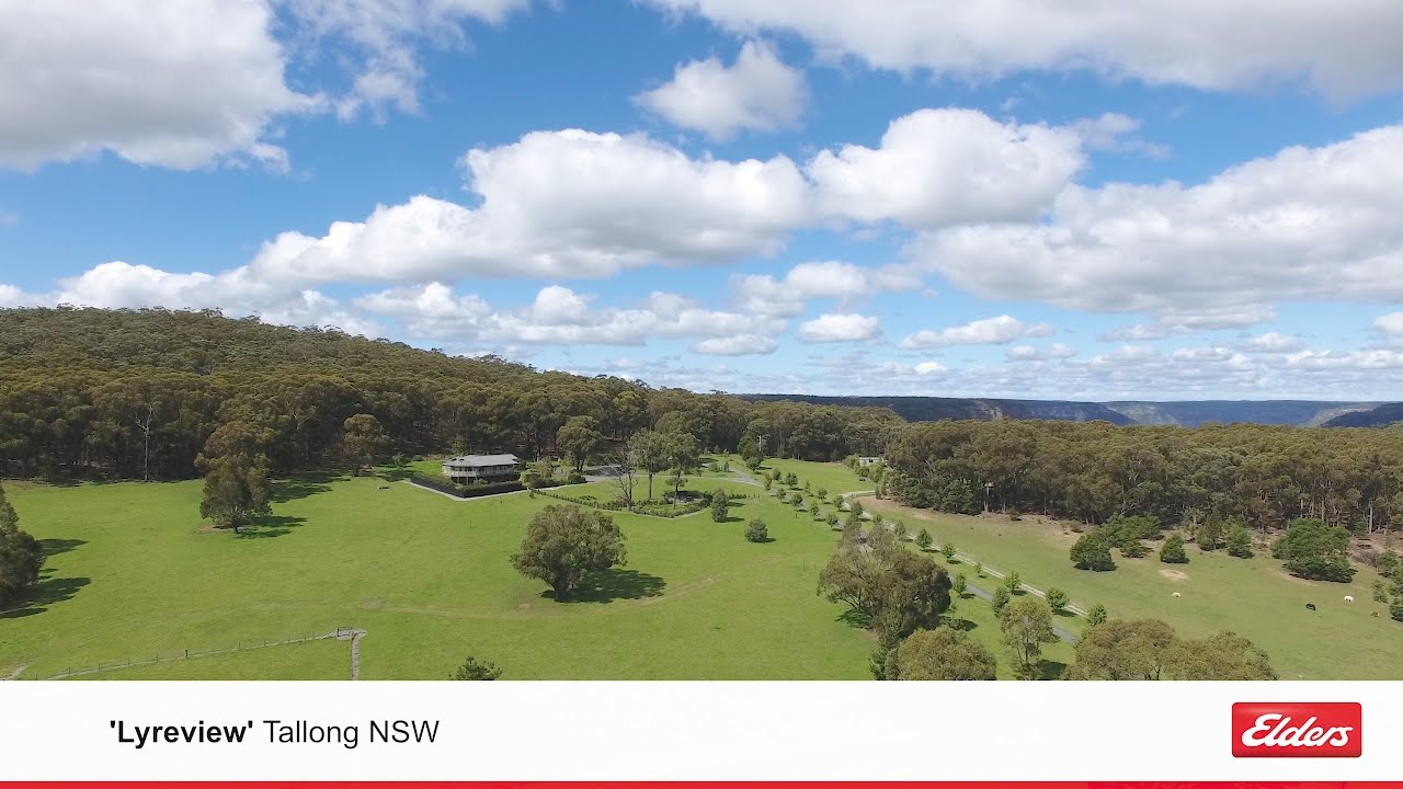 Lyreview &ndash; Tallong NSW
