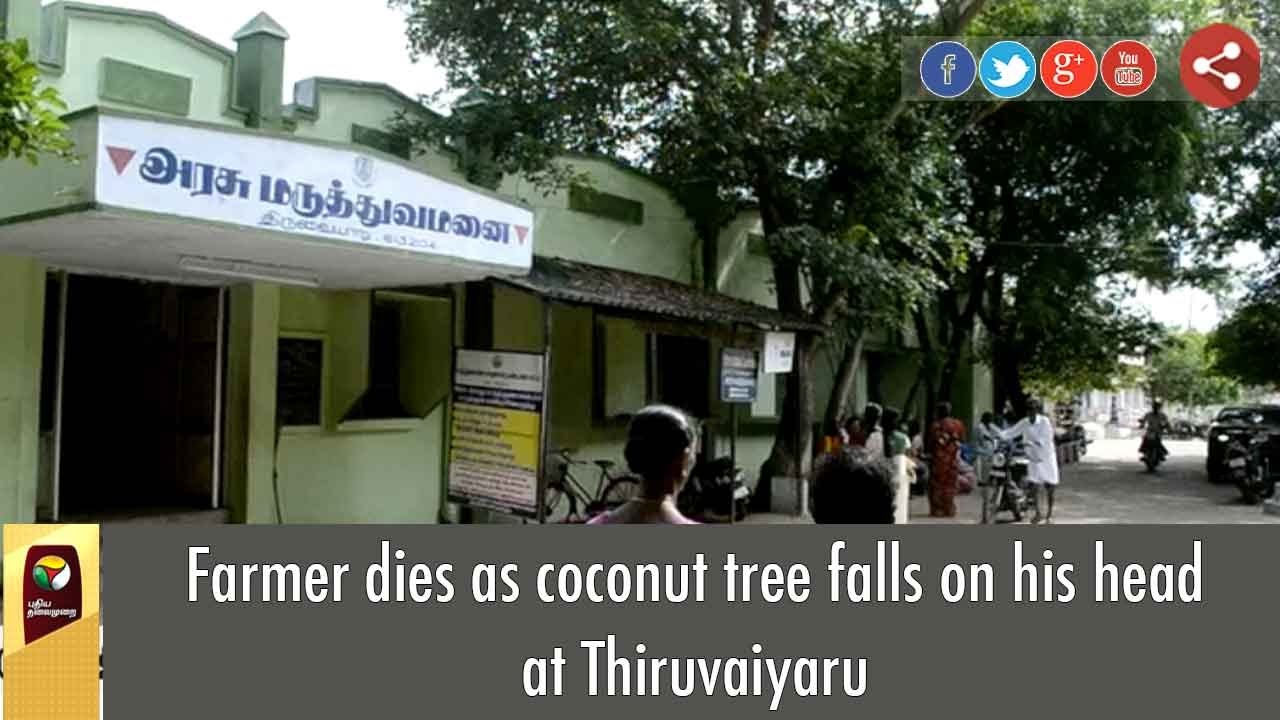 Farmer dies as coconut tree falls on his head at Thiruvaiyaru