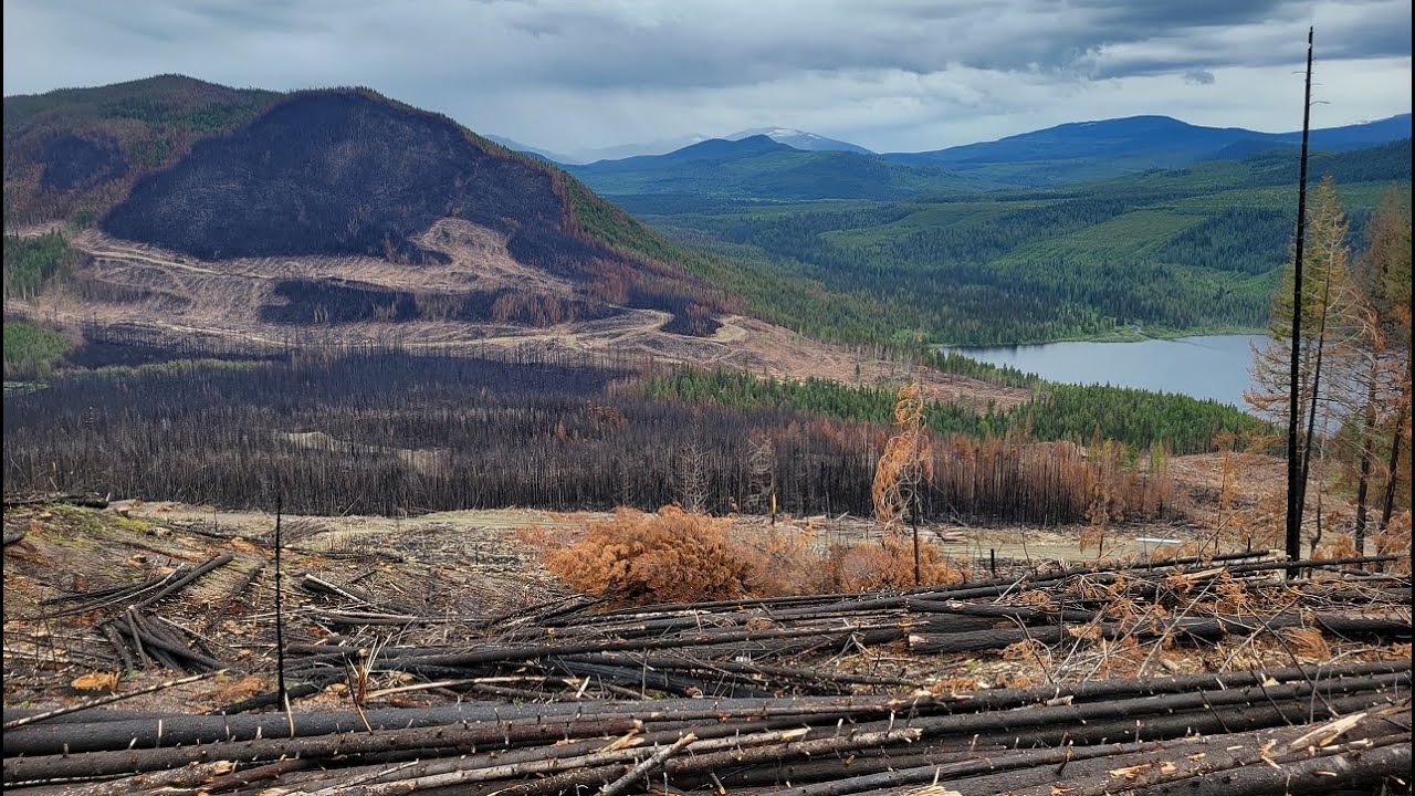 New Canadian Gold Rush! Quest for Adventure - British Columbia Cariboo Prospecting Morel Gold Hunt!