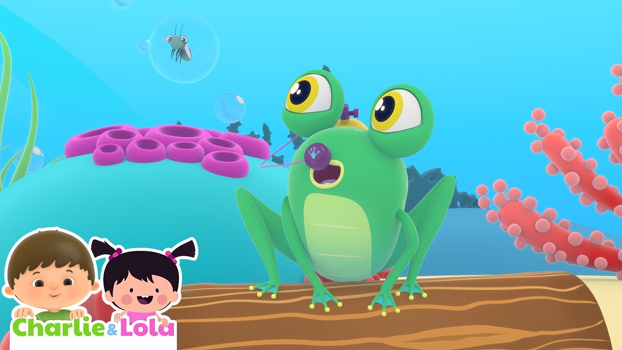 Hole in the Middle of the Sea 🐟  | Nursery Rhymes & Songs for Kids 🎵 | Cartoons @Charlie-Lola