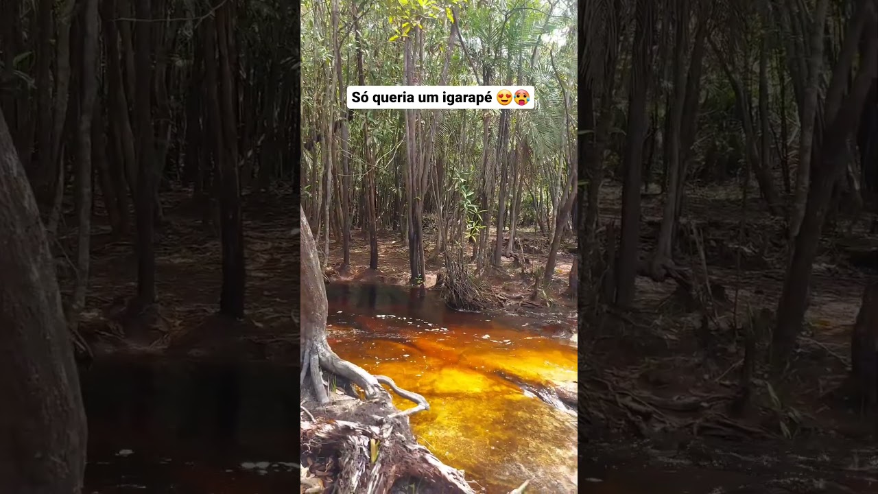 Pra passar o calor, s&oacute; um banho de igarap&eacute;.Quem a&iacute; gosta de uma &aacute;gua geladinha para se refrescar? 😍