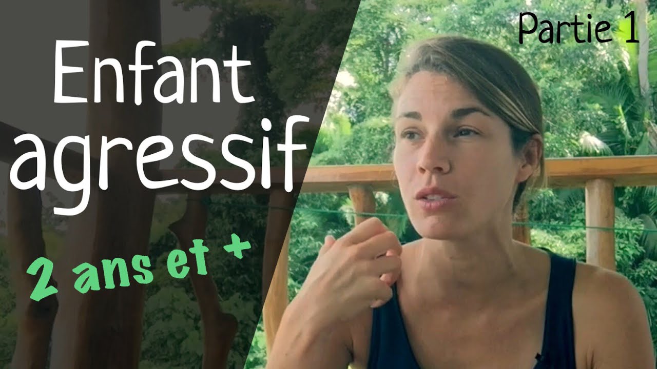 Face à un enfant AGRESSIF (2 ans et +) : comment RÉAGIR ?