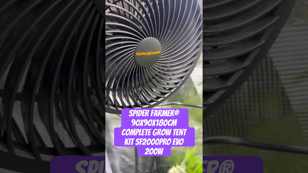 Spider Farmer&reg; 90X90X180cm Complete Grow Tent Kit SF2000PRO EVO 200W  #crazybud #420 #growled