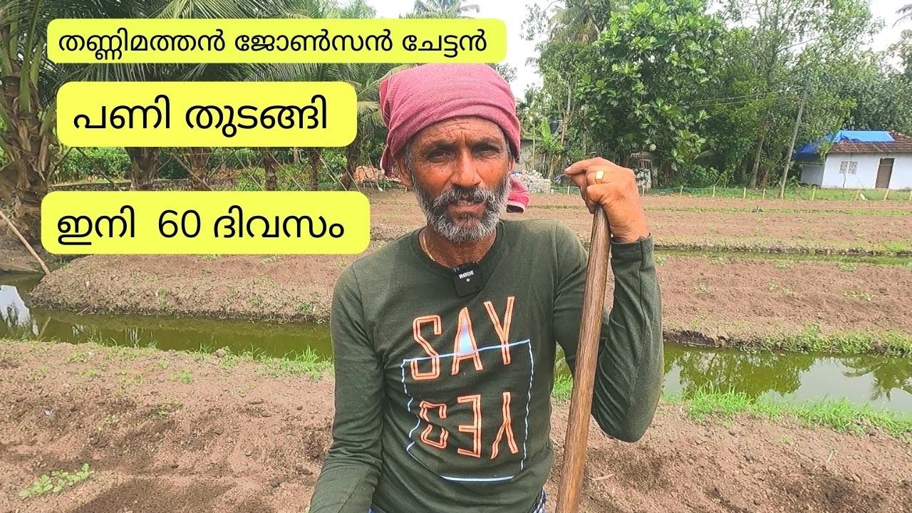 ജോൺസൺ ചേട്ടൻ ഇത്തവണത്തെ തണ്ണിമത്തൻ കൃഷി ആരംഭിച്ചു l Thannimathan l Agriculture l Watermelon Farming