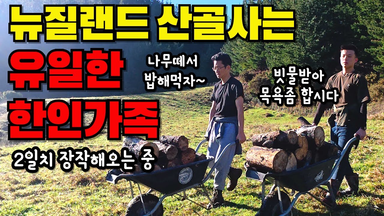 한국에서 돌아온 뉴질랜드, 사람도 걱정도 없지만 전기도 수도도 안들어 온다 (Korean Family's NZ Country Life)