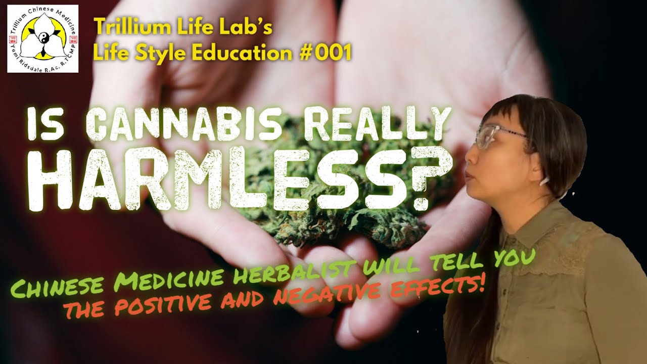 🌿☯️How does Chinese Medicine understands Cannabis?!☯️🌿 Is it really Harmless?? 🧐
