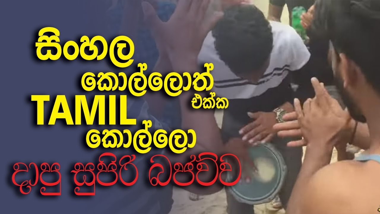 Tamil and Sinhala boys darbak part | bongo part | bongo cover | classic song