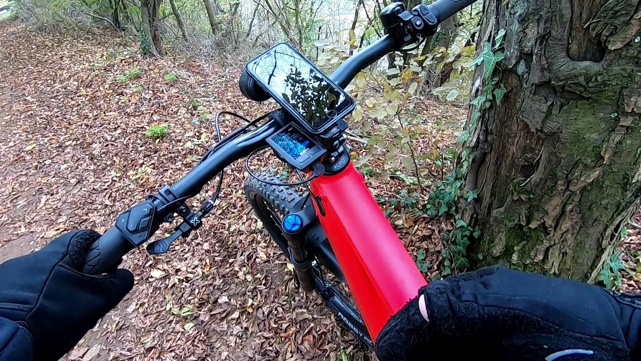 Riese & Müller Delite Mountain Rohloff 625 Wh - Rohloff review and range test