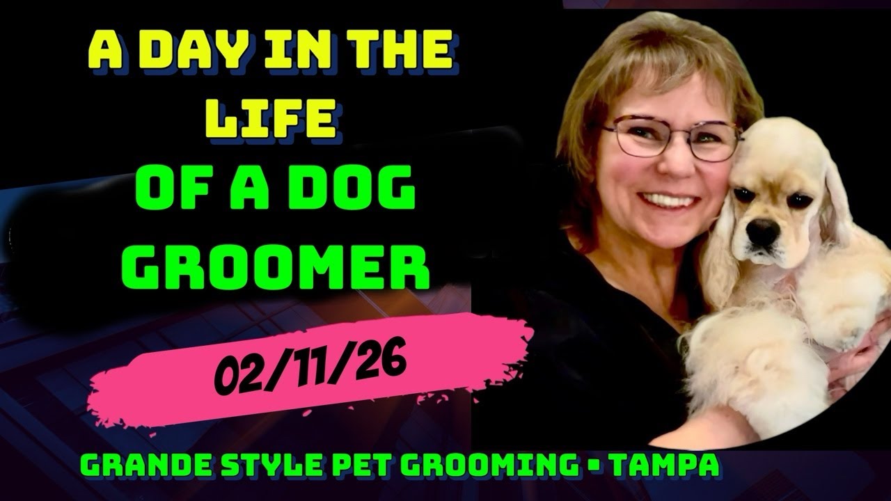 A DAY in the LIFE of a DOG GROOMER at Grande Style Dog Grooming in Tampa, Florida.