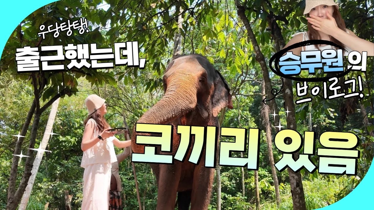[승무원브이로그] 승무원 직업 만족도 미쳐버린 하루｜출근했는데 코끼리 있음🐘