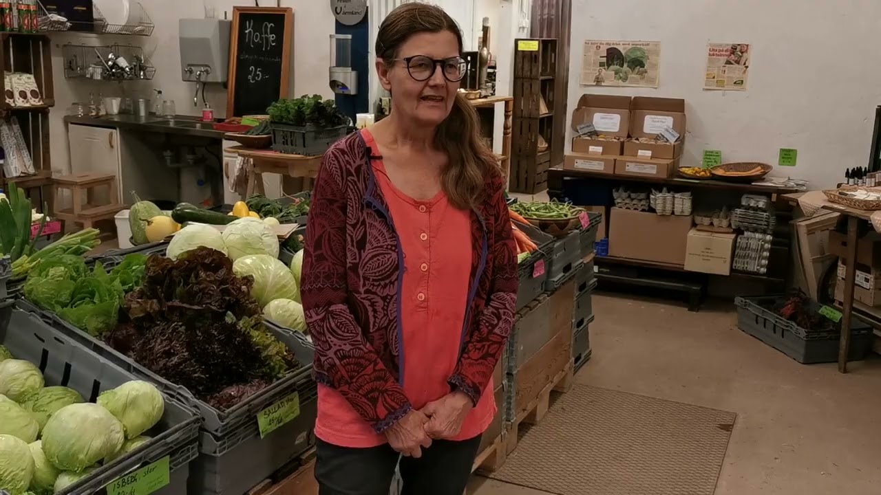 Hållbar grön utveckling i Hagfors remix