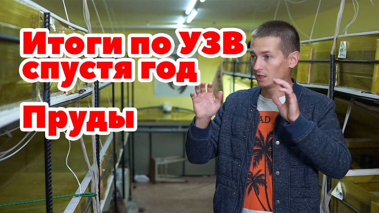 Итоги года по выращиванию и содержанию Австралийского рака! Пруды.