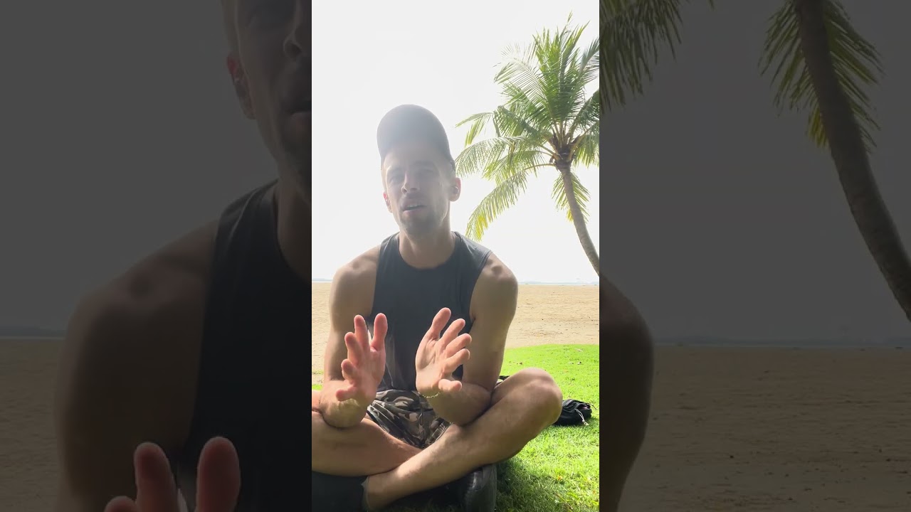 vlog336