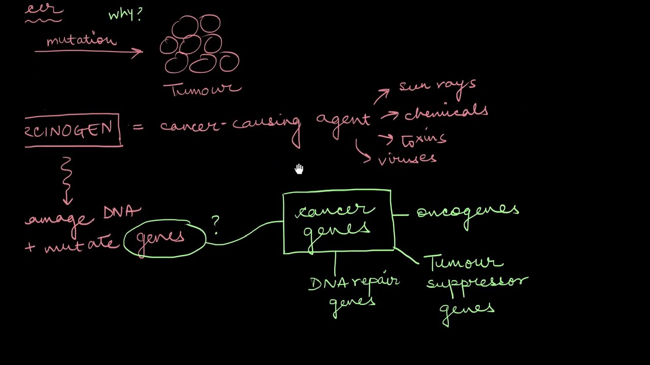 Carcinogens | Human Health and Disease | Biology | Khan Academy