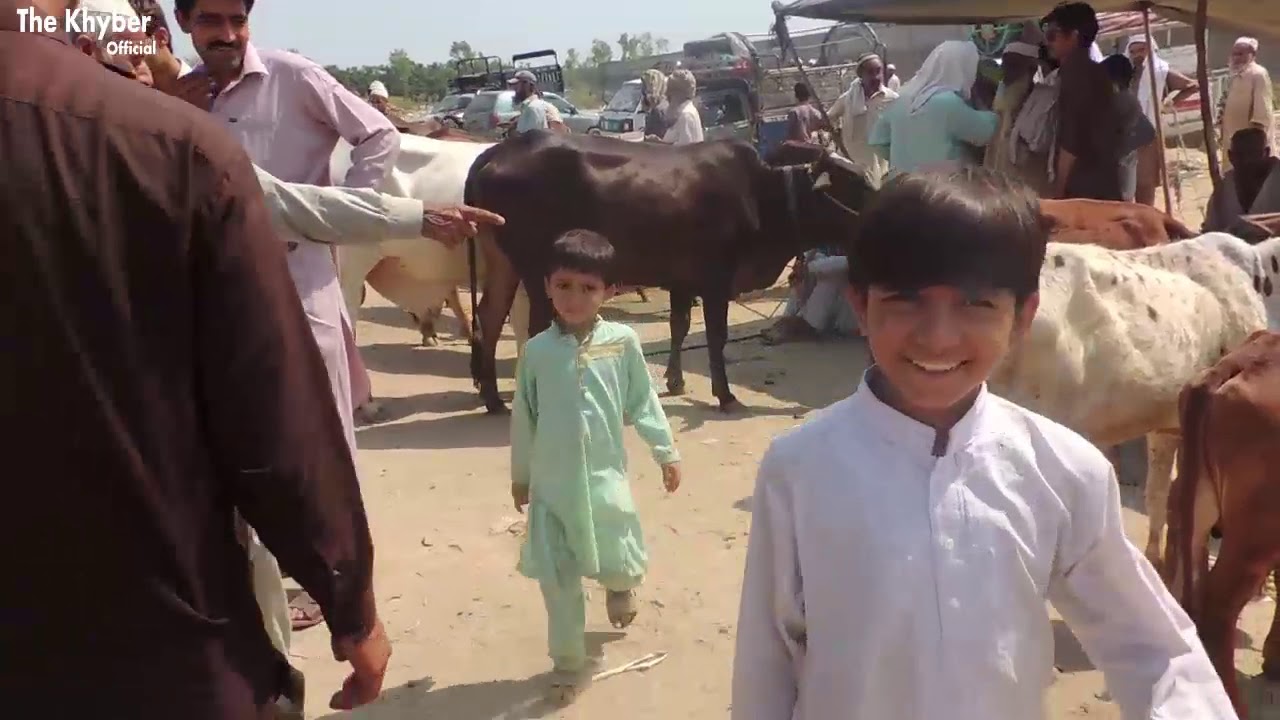 khyber Pakhtunkwa Pakistan 2020 | Daily Life Swabi Pakistan