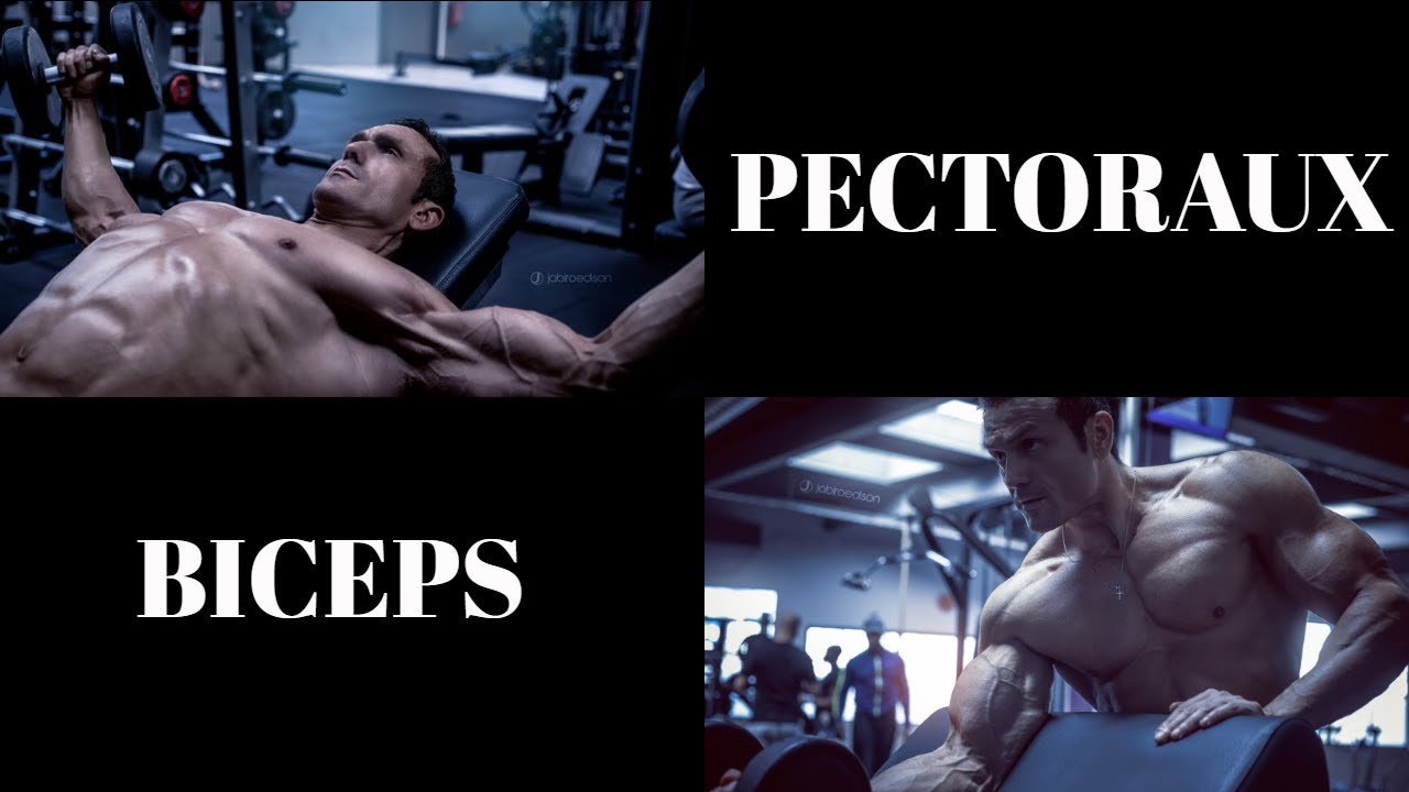 Séance 1/4 : Pectoraux-Biceps (Programme prise de masse en split)