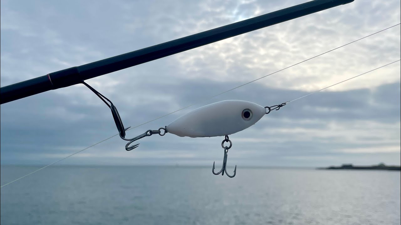 BASS FISHING WITH LURES FROM THE SHORE | LURE FISHING FOR BASS