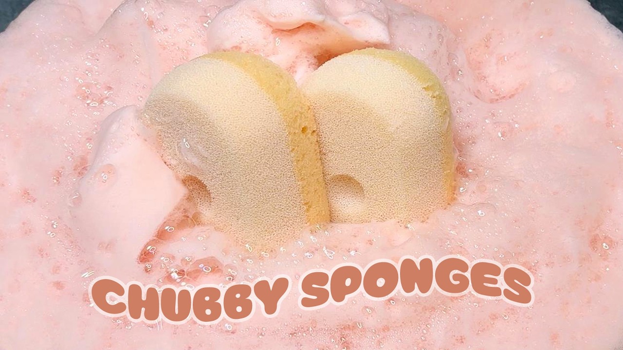 ASMR Sponge 1187.Chubby Sponges