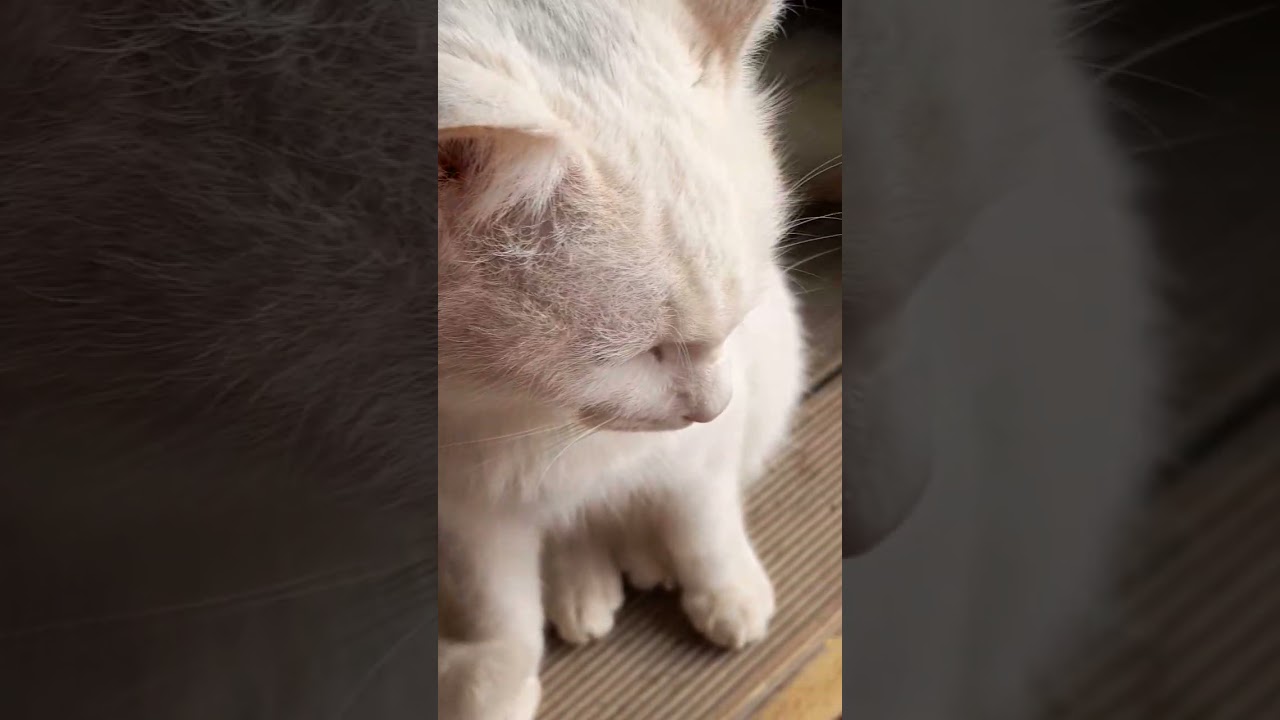 엄마는 아침 저녁이 다르다?