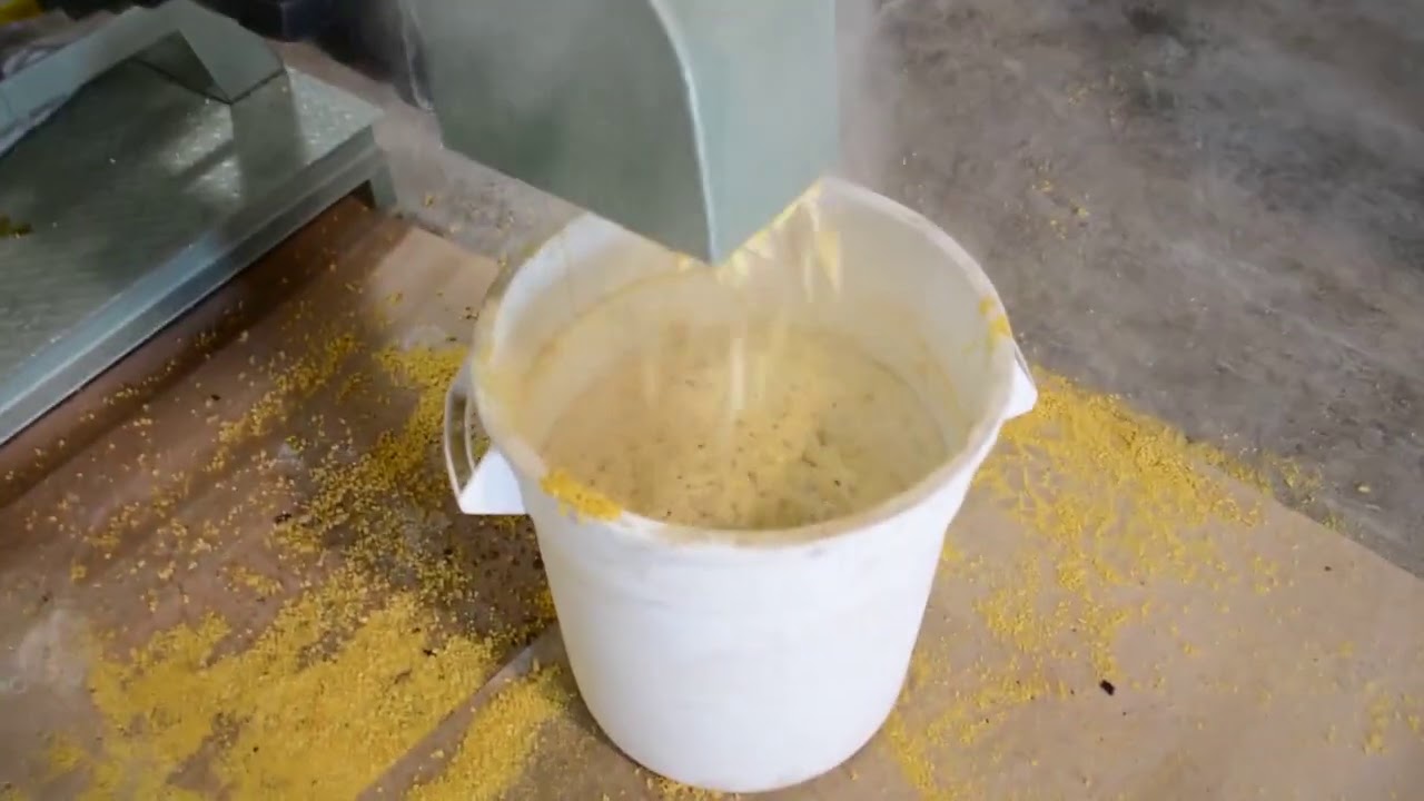 Extrusion Processing of Fullfat Soybeans | Short Version