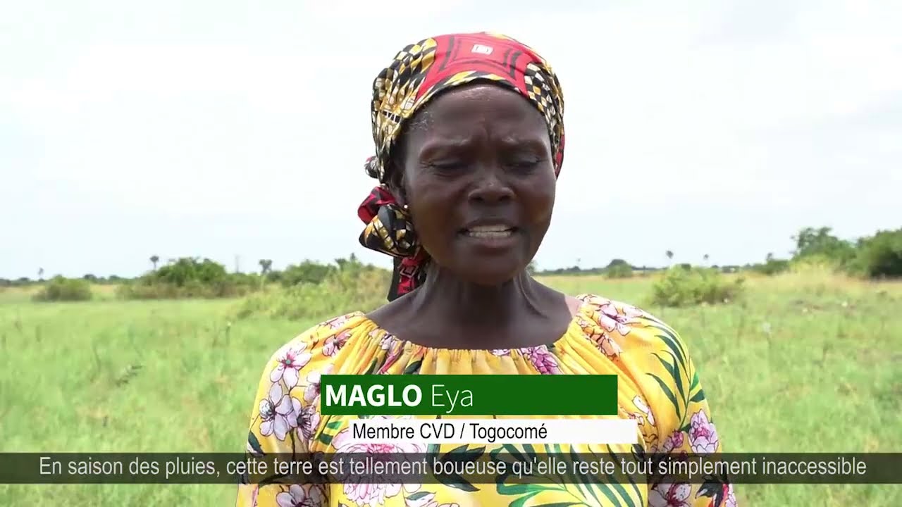 Restauration des paysages forestiers au Togo