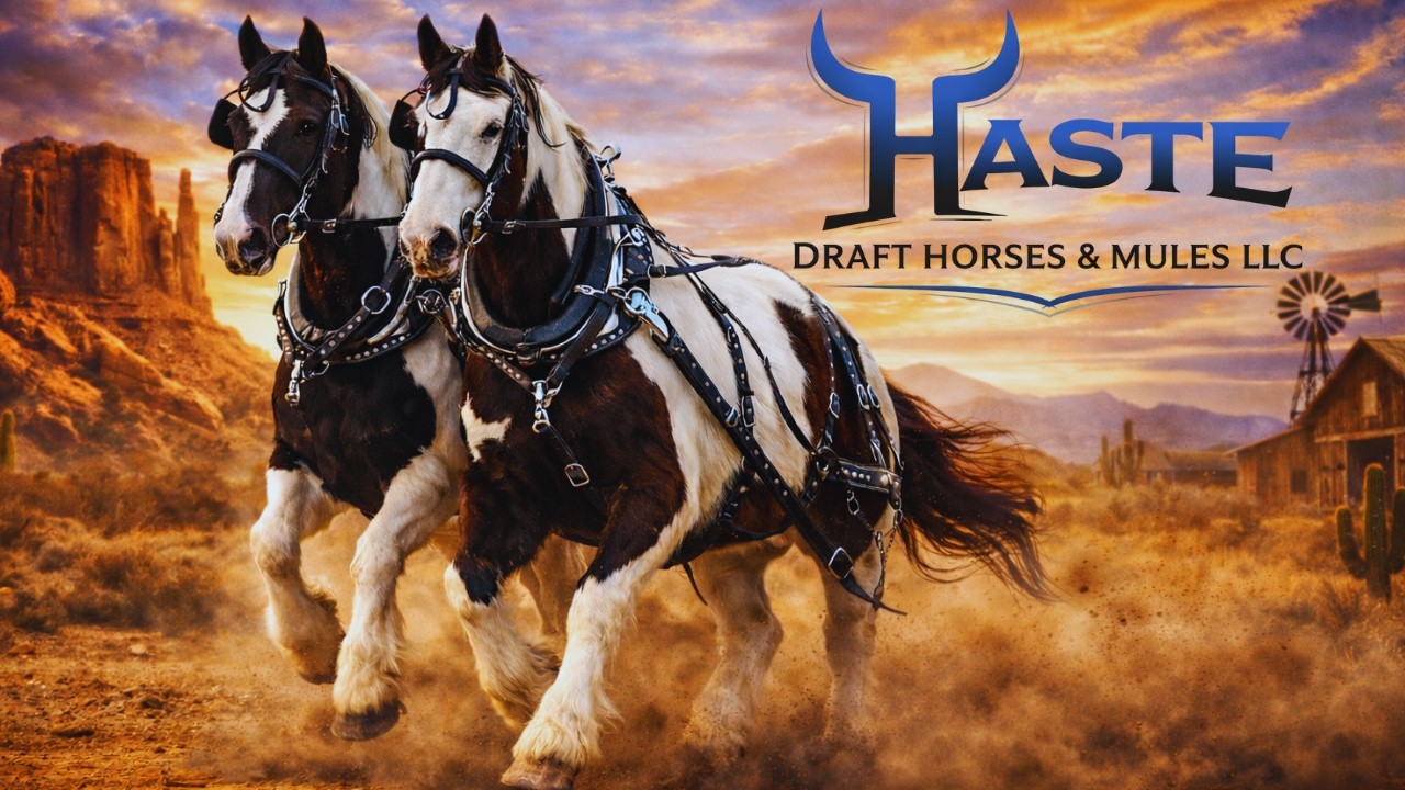 «Эта команда по драфту превращает новичков в настоящих водителей грузовиков».