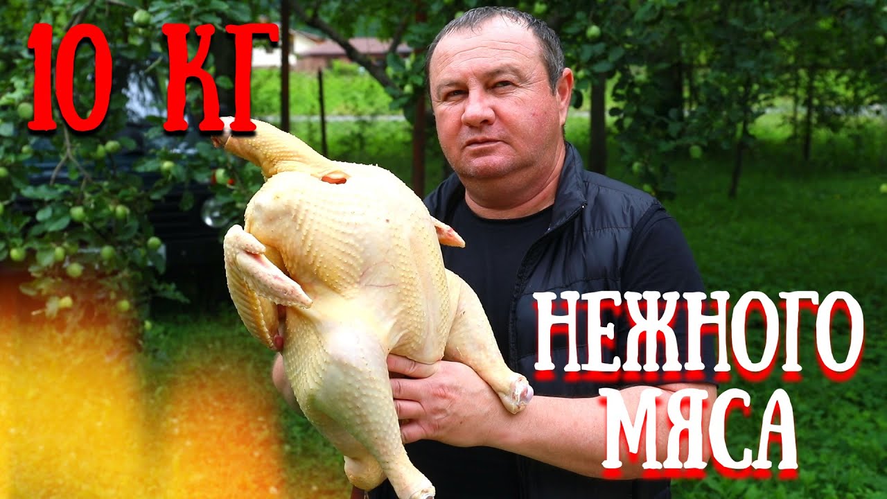 ДОМАШНЯЯ ИНДЕЙКА в ТАНДЫРЕ. ЛУЧШИЙ МАРИНАД для ХРУСТЯЩЕЙ КОРОЧКИ и НЕЖНОГО МЯСА.