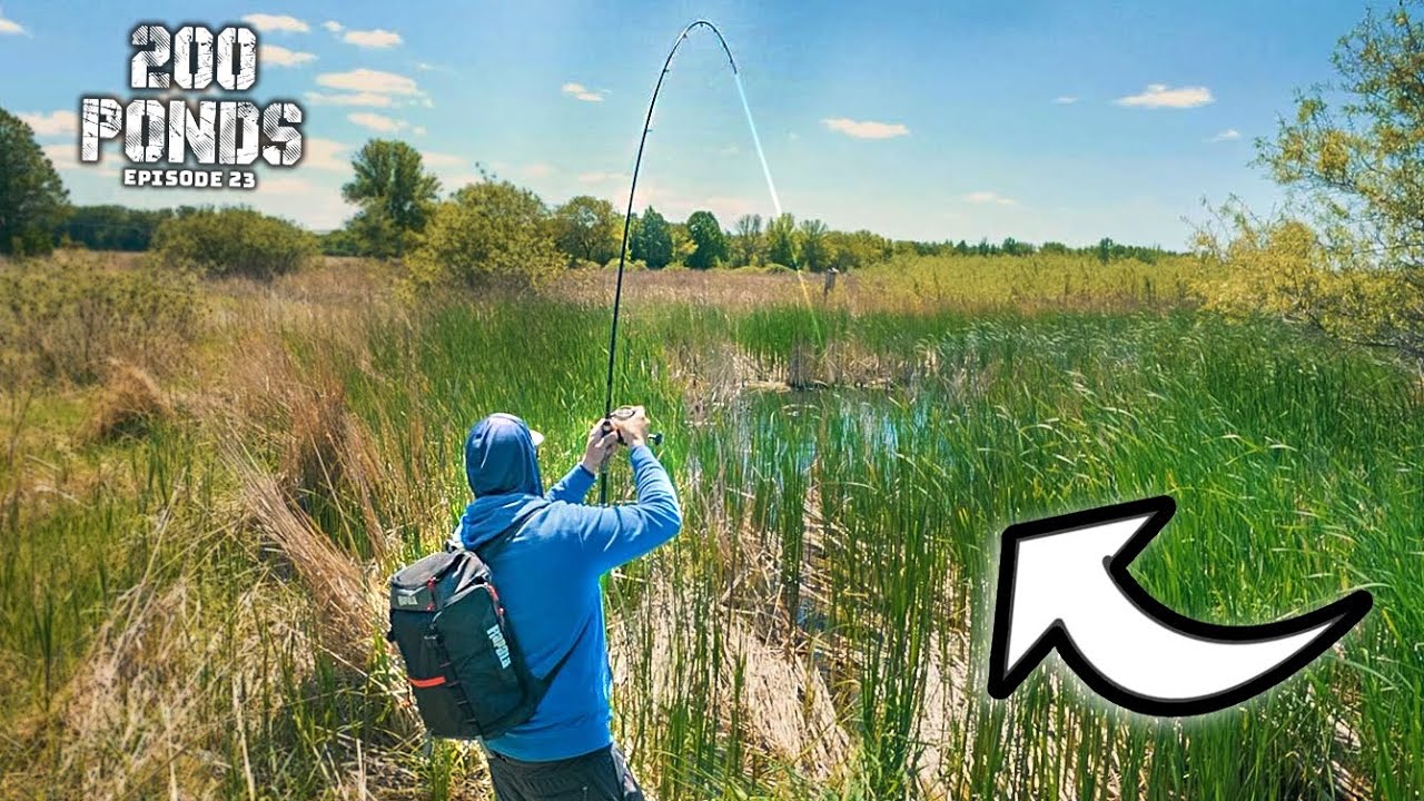 Hooking BIG BASS In A Tiny PUDDLE?! (