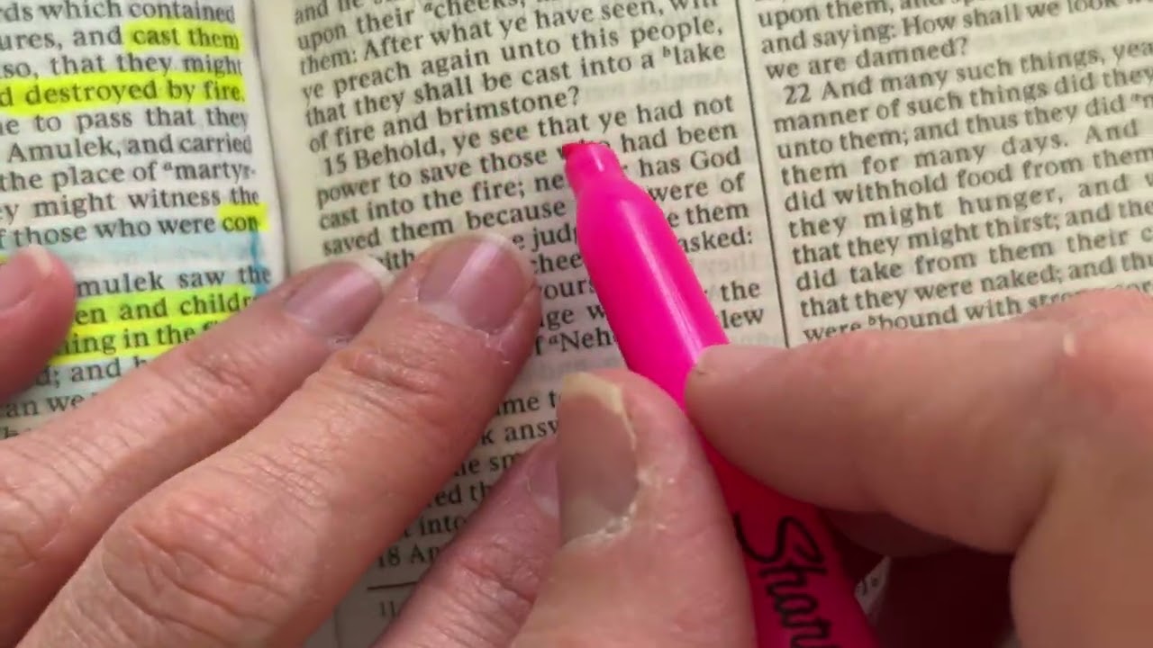 Highlighting Alma 14: The Book of Mormon w/ Warrior Woman Sis Winegar