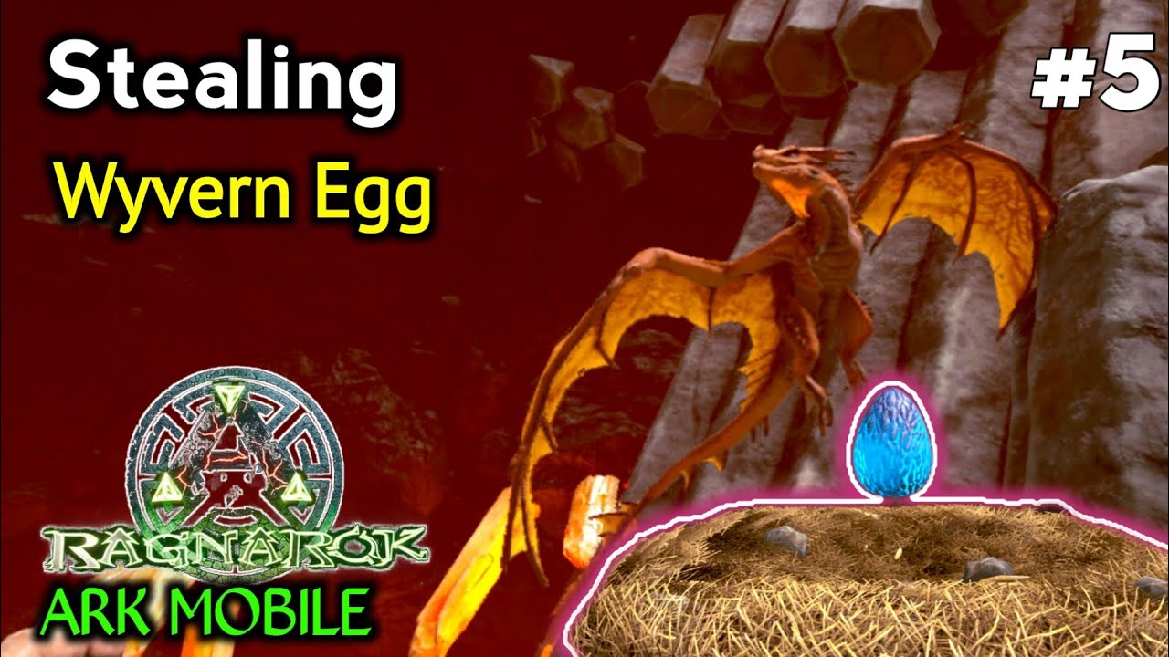 Stealing wyvern Egg gone wrong ☠️ | Ark mobile Ragnarok gameplay part 5