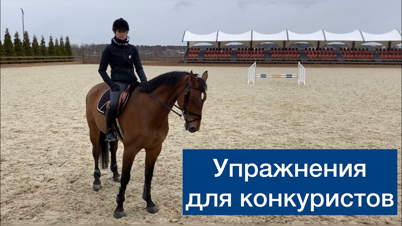 Конкурные упражнения с одним препятствием