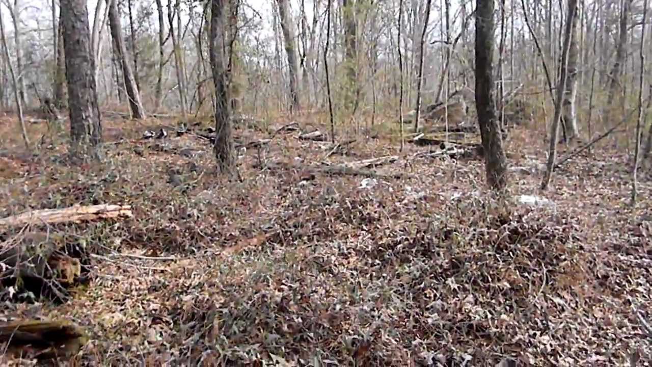 HUGE Duke Power Substation 1940s Insulator Dump