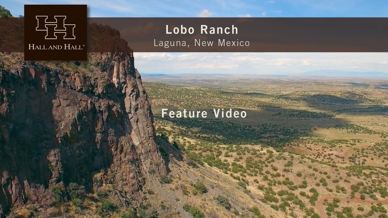 New Mexico Ranch For Sale - Lobo Ranch