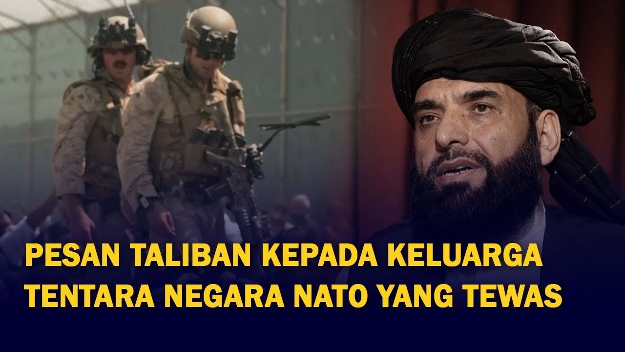 Reaksi Kelompok Taliban Saat Ditanya Soal Ribuan Tentara Negara-Negara NATO Tewas di Afghanistan