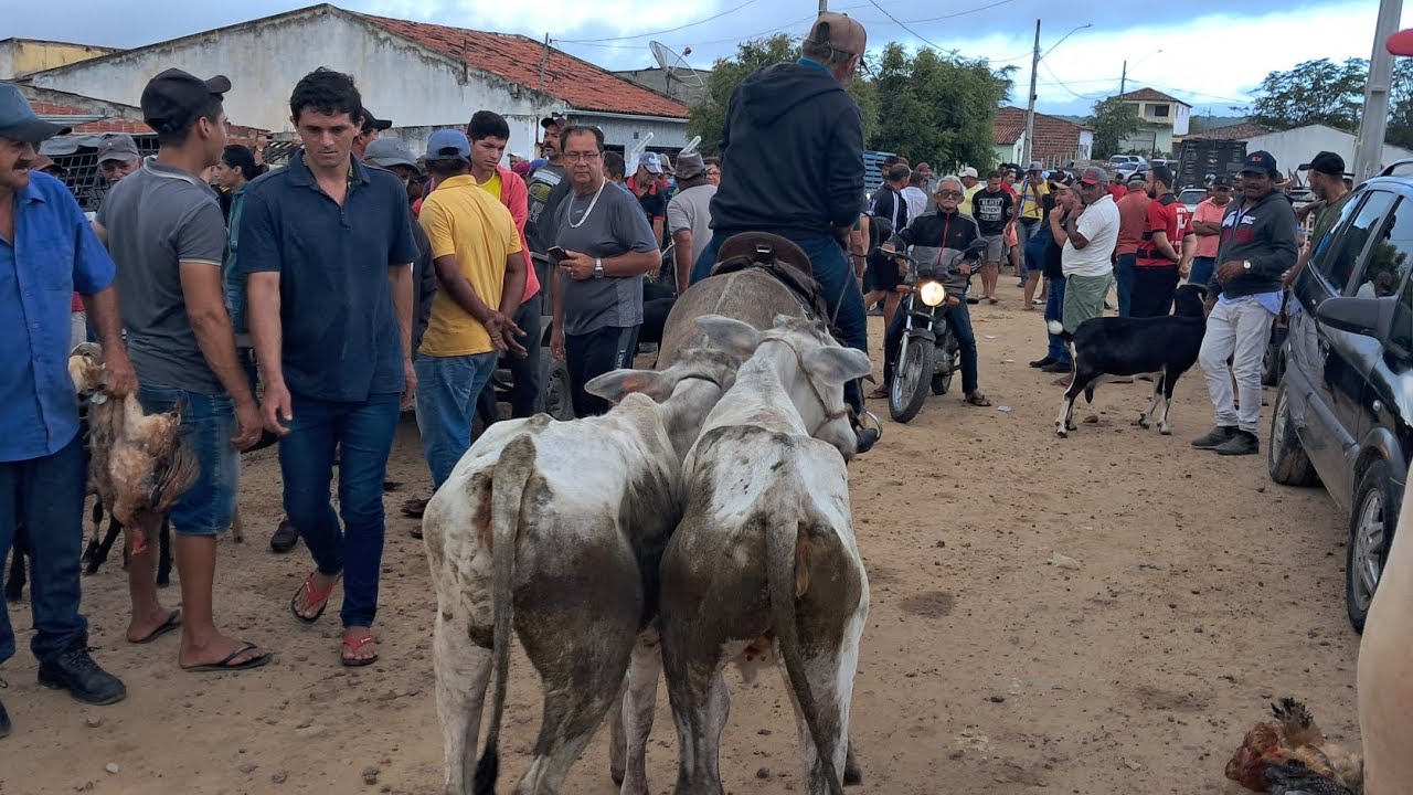 FEIRA DE CAPRINOS É OVINOS EM: ARARA-PB!!! 10/03/2026 📹🤠🏜