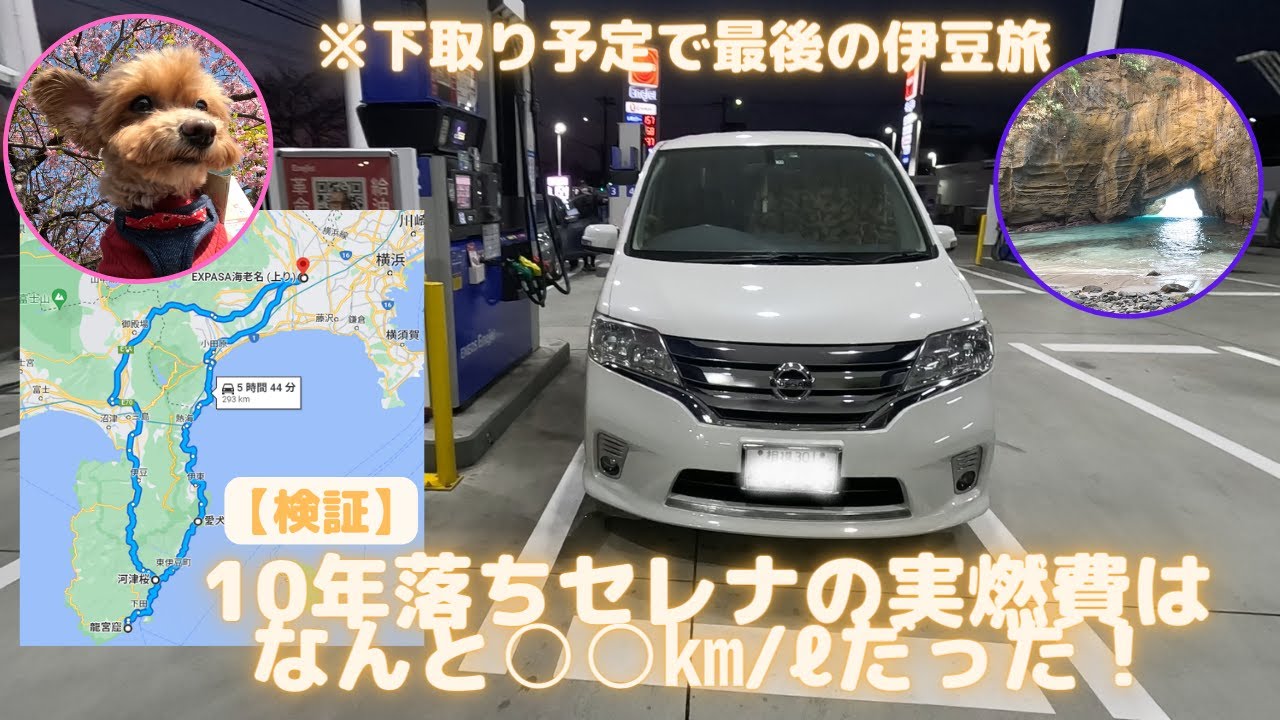 【10年落ちC26型セレナの燃費検証】伊豆半島のドライブ旅行を兼ねて実燃費を計ったら思ったより走った！