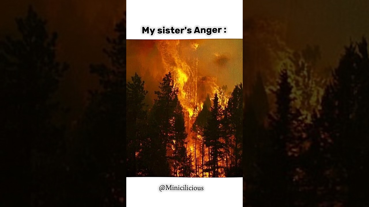 My sister's anger and Me 👑😎 #trending #viral #fypシ #youtubeshorts #aesthetic #shortsfeed #sisters