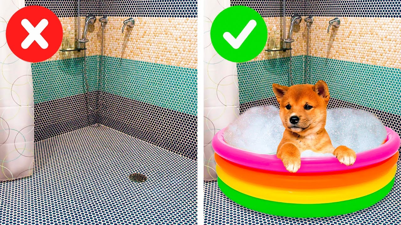 24 TOLLE HACKS, DIE JEDER KENNEN SOLLTE