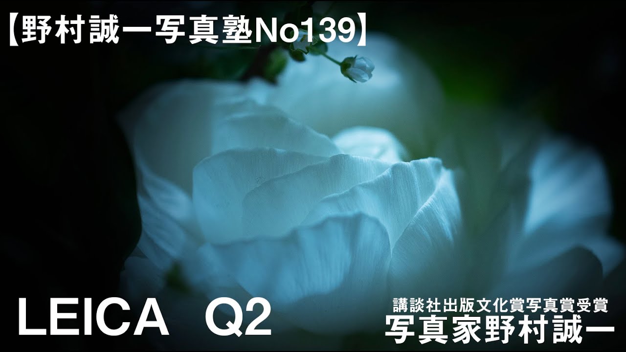 【野村誠一写真塾No139】LEICA  Q2を使ってみた。退院して買ったカメラで撮ってみた。悪性リンパ腫で退院後初めて撮った。