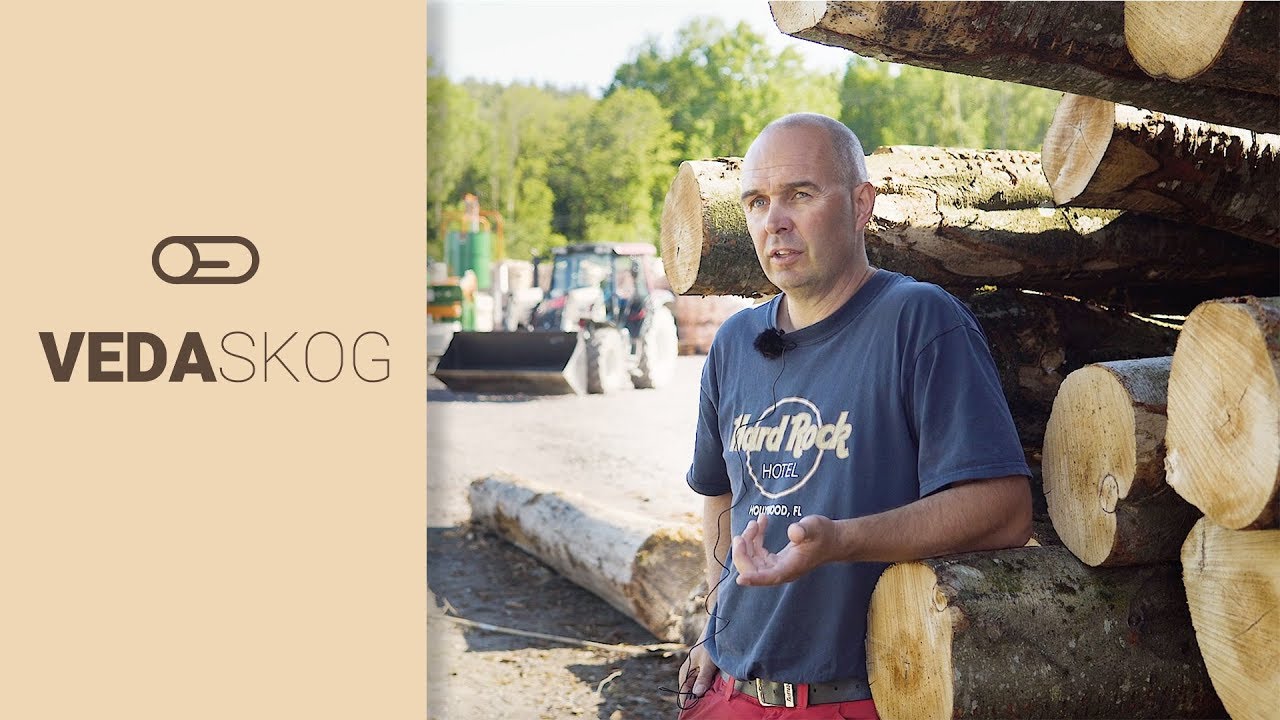 VEDASKOG og Posch