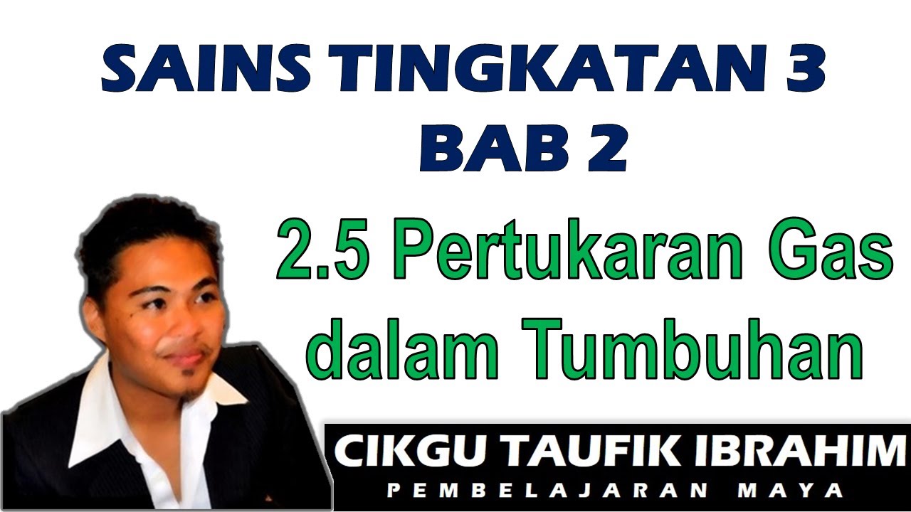 Sains Tingkatan 3 KSSM I Bab 2 Respirasi I 2.5 Pertukaran Gas dalam Tumbuhan