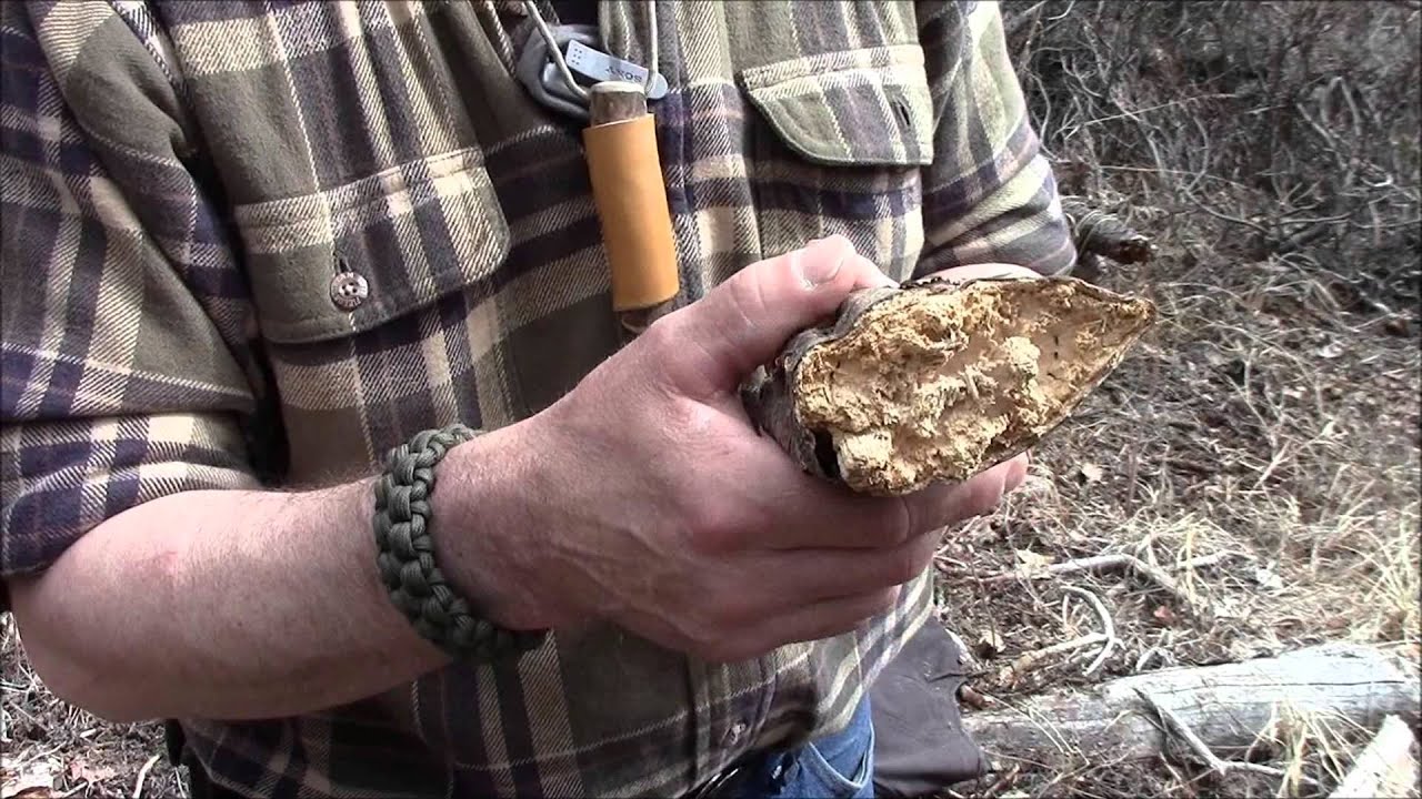 Friction Fire Using Punk Wood Hearth