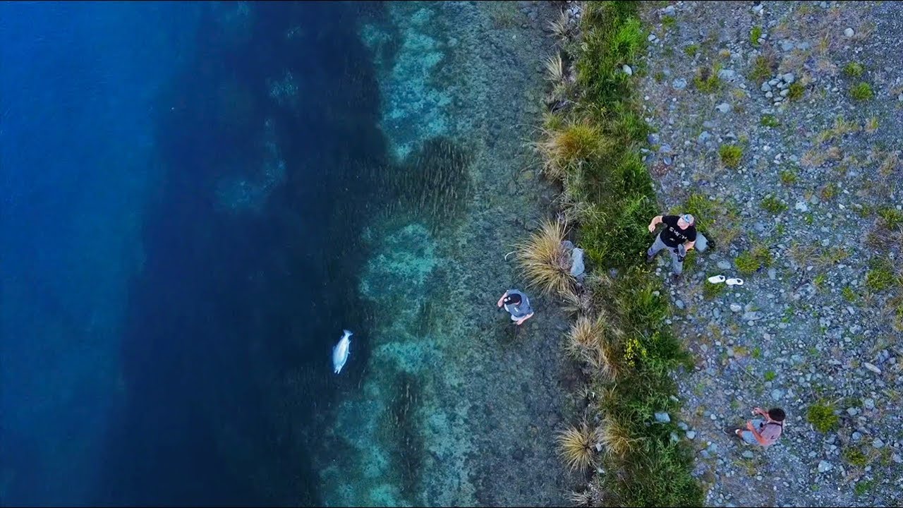 Catching MASSIVE Fish In The Worlds Clearest Water!!!!