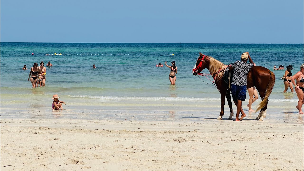 🌴 Djerba Island Paradise | Stunning Panoramic Beach - Dar Jerba Narjess Hotel