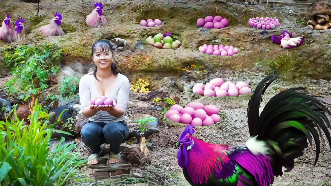 Harvesting Chicken Eggs goes to market sell - Grow onions in bamboo tubes | Tiểu Vân Daily Life