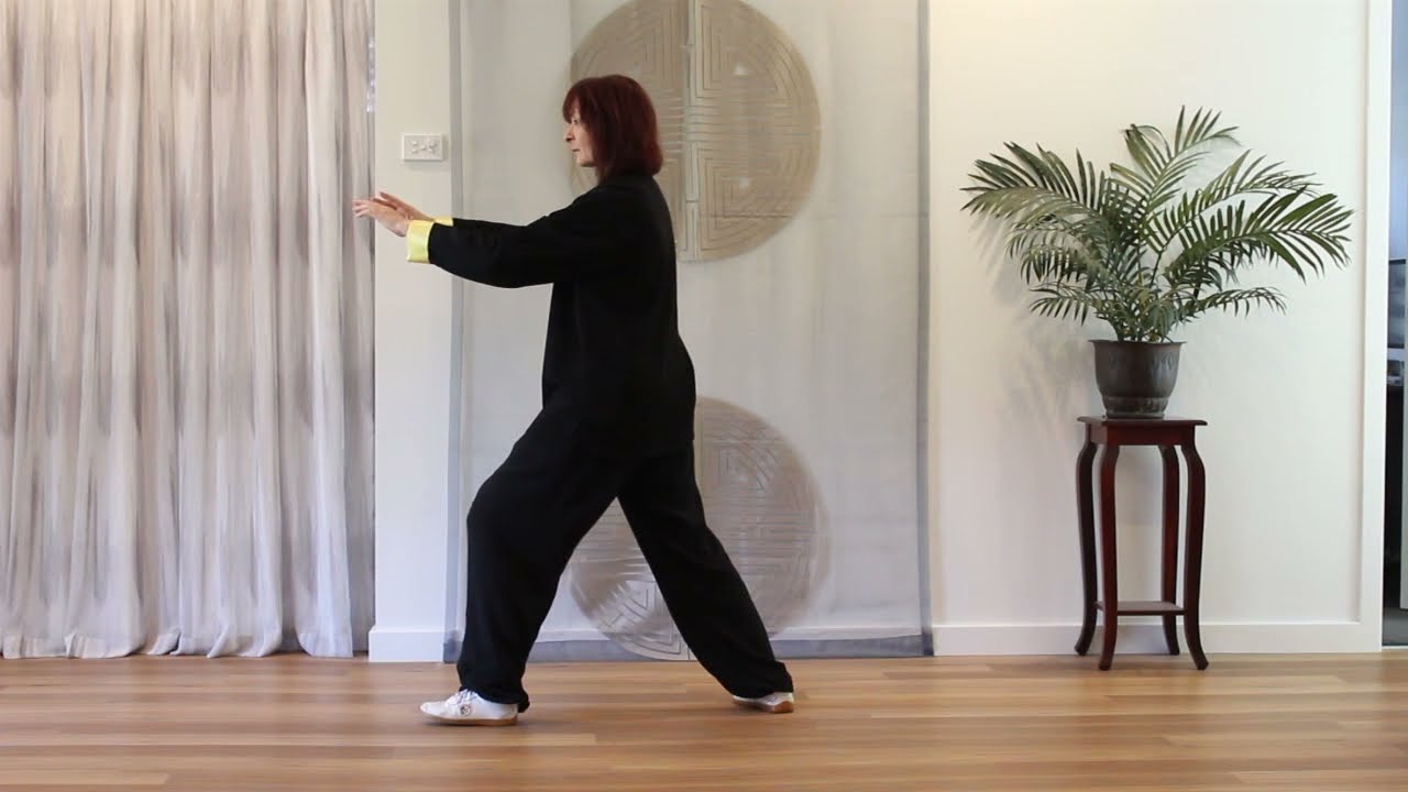 Tai Chi Yang Style 8 Forms Back View