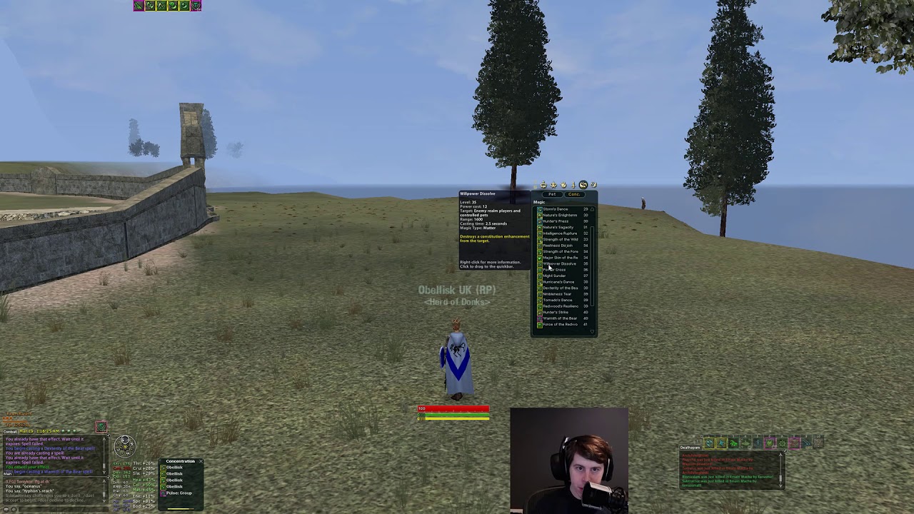 Druid Class Overview