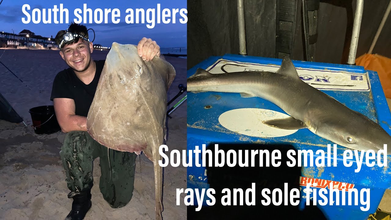 Small eyed ray and sole fishing with surprise fish