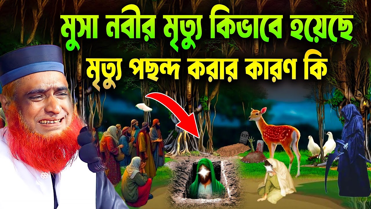 মুসা নবীর মৃত্যু কিভাবে হয়েছে  । মৃত্যু পছন্দ করার কারণ কি । Bozlur Roshid 2025 । bozlur roshid waz